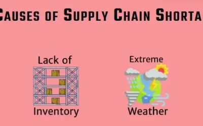 Supply Chain Disruption: Infographic