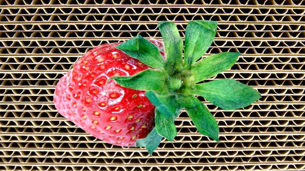 food safety and corrugated packaging strawberry on corrugated backdrop